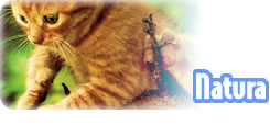 <div class=Note><a href=index.php?method=section&id=44 class=Note>Natura</a></div>UN FIUTO BESTIALE
