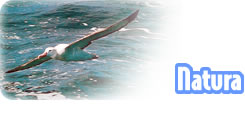 <div class=Note><a href=index.php?method=section&id=44 class=Note>Natura</a></div>GIRO DEL MONDO IN 46 GIORNI