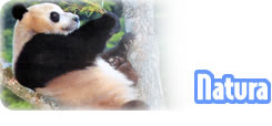 <div class=Note><a href=index.php?method=section&id=44 class=Note>Natura</a></div>ANIMALI IN PRESA DIRETTA