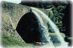 acqua