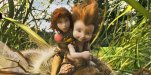 minimei
