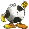 <div class=Note><a href=index.php?method=section&id=51 class=Note>Sport</a></div>Una squadra da favola